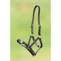 Fine leather halter for horse HFI
