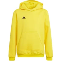 Sweatshirt à capuche enfant adidas Entrada 22