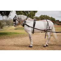 Simple Horse Harness Hispano Hipica Keiffer
