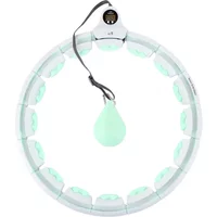 Hula-Hoop mit Gewichten und Zähler HMS HHW06
