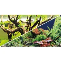 Poster 2 Faces Hobby Green Secret/Wood Island