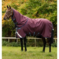 Outdoor Blanket Horseware Amigo 1200D Plus 250g