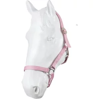 Promotion Galop Store 66% de réduction sur 3 licols en nylon Horze