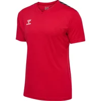 Trikot Hummel Authentic Pl