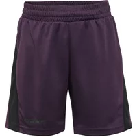 Shorts für Kinder Hummel Multi PL