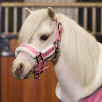 Nylon headcollar for horse HV Polo Sacha