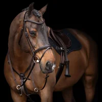 Martingale for horse HV Polo Legacy
