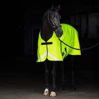Outdoor Blanket Imperial Riding Reflective 200g
