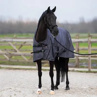 Outdoor Blanket Imperial Riding Super-dry AOP 100g