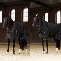 Outdoor Rug for Horse with Detachable Neck Cover Imperial Riding Basic 300g