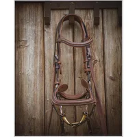 Bridles new york Jump'In Collection One