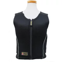 Riding back protector Kavalkade Sir Lancelot 3X