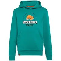 Child hoodie adidas Minecraft Terrex