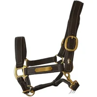 Leather halter for horses Lexhis
