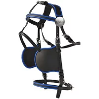 Nylon PVC Horse Harness Lexhis Hanover