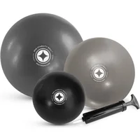Mini balle stabilité pilates Merrithew (x3)