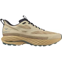 Running shoes Mizuno Wave Rider Gtx TT 3