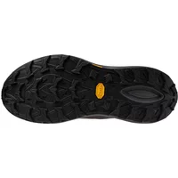 Chaussures de running Mizuno Neo Daichi 10