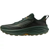 Running shoes Mizuno Neo Daichi 10 Gtx