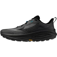 Scarpe da corsa Mizuno Neo Daichi 10 Gtx