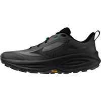 Zapatillas de running Mizuno Neo Daichi 10 Gtx