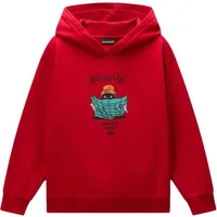 Felpa con cappuccio bambino Napapijri Flein