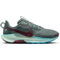 Laufschuhe Nike Pegasus Trail 5