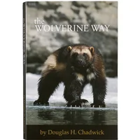 Boek Patagonia The Wolverine Way