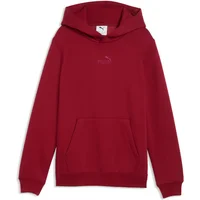 Child hoodie Puma Ess Small No.1 Logo