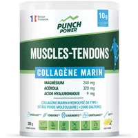 Nahrungsergänzung Pulver Marin Kollagen Muskeln-Sehnen Punch Power