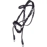 Bitless bridle for horses QHP Thunderbolt