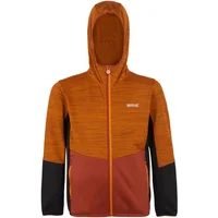 Chaqueta softshell infantil Regatta Prenton III