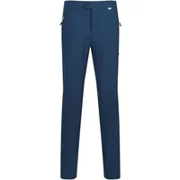 Hiking Trousers Regatta Highton