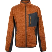 Fleece met rits Regatta Baslinn
