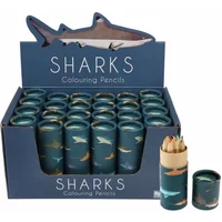 Kleurpotloden in tube Rex London Requins (x12)