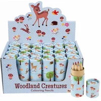 Kleurpotloden in tube Rex London Woodland Creatures (x12)