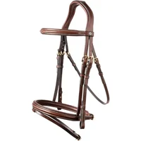 Combined riding bridle and noseband Trust Calgary