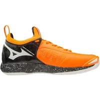 Schuhe Mizuno Wave Momentum