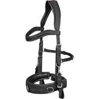 Anatomic leather hackamore for horse Waldhausen
