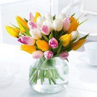 Blossoming Gifts Enjoy 11% Discount on 25 Tulips for Springtime Blooms