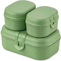 Koziol Koziol - Pascal Ready Mini Lunchbox-Set, nature leaf green