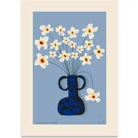 Paper Collective Paper Collective - Flower Studies 04 (Stjärnöga) Poster, 50 x 70 cm