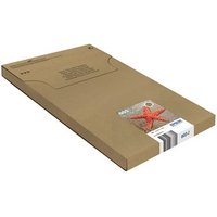 EPSON 1LB Multipack 3-colours 603