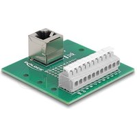 DELOCK RJ50 Buchse zu Terminalblock gew.