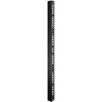 APC Easy Rack - rack cable organiser (vertical) - 42U