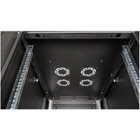 ROLINE 48,26cm Serverschrank Basic 42HE