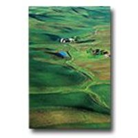 Click to view product details and reviews for Epson Premium Semi Gloss Photo Paper 20 Sheets. Click to view product details and reviews for Epson Premium Semi Gloss Photo Paper 20 Sheets.