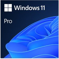 Windows 11 Pro - licence - 1 licence