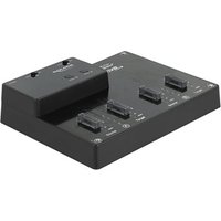 DELOCK M.2 Dockingstation 4xM.2 NVMe PCIe SSD Klon Funktion