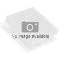 AMD Ryzen 5 5500 / 3.6 GHz processor - OEM